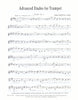 Advanced Etudes for Trumpet by Allen Vizzutti, pub. Bim