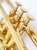 Adams A5 Bb Trumpet in Gold Lacquer