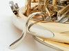 Engelbert Schmid High Eb Triple Horn in Gold Brass